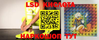 индика Свободный