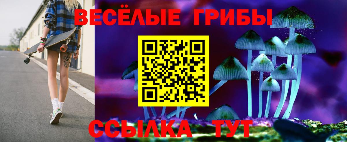 Галлюциногенные грибы Psilocybe Полысаево