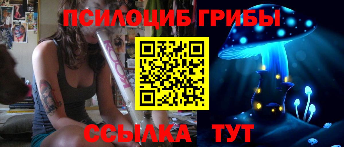 Галлюциногенные грибы GOLDEN TEACHER  Галлюциногенные грибы Psilocybine cubensis  Полысаево  Вход с VPN 